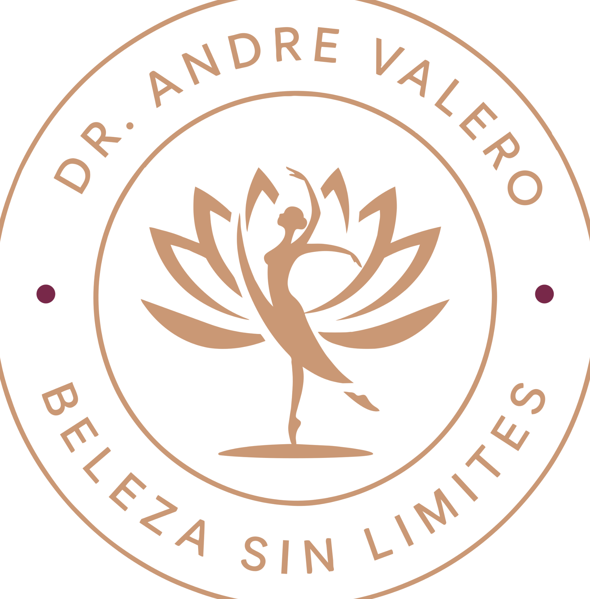 Dr. Andre Valero Lipo Escultura